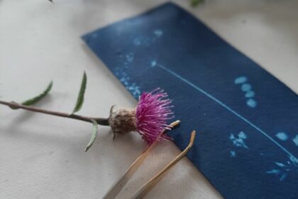 Atelier cyanotype