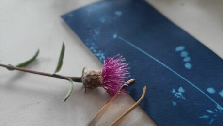 Atelier cyanotype